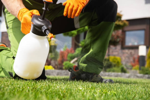 Pest Control for Restaurants in Taft, FL