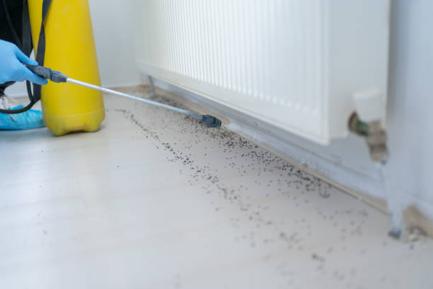 Wildlife Control Services in Taft, FL