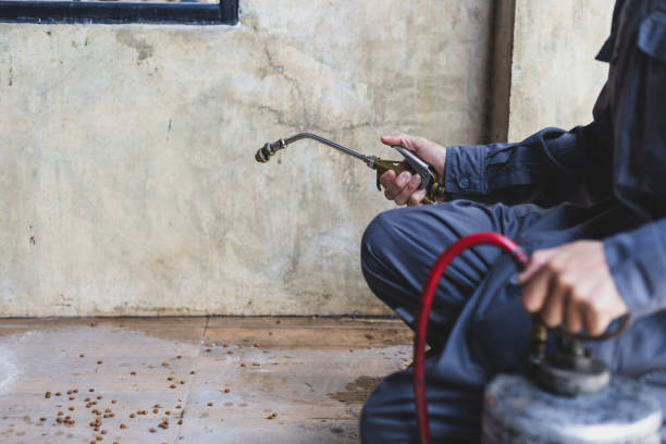 Best Best Pest Control Companies  in Taft, FL